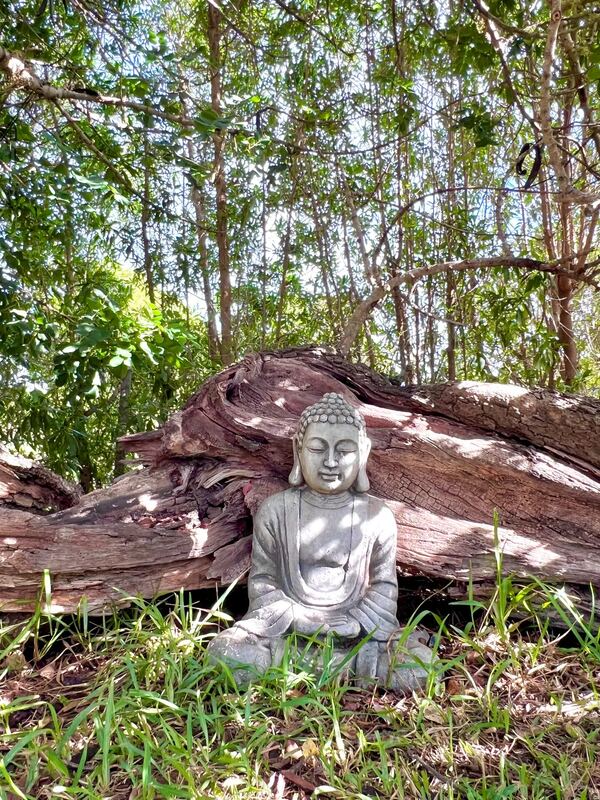 Figura de Buda junto a un tronco en el jardín arbolado