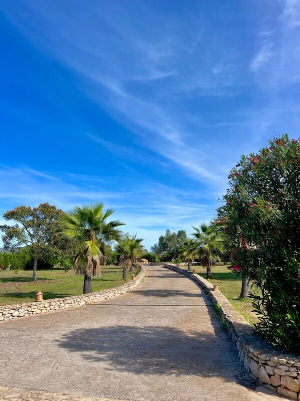 Camino empedrado entre palmeras y muros de piedra