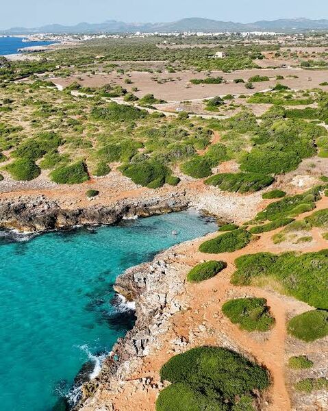 Vista aérea de una cala junto al paisaje rural