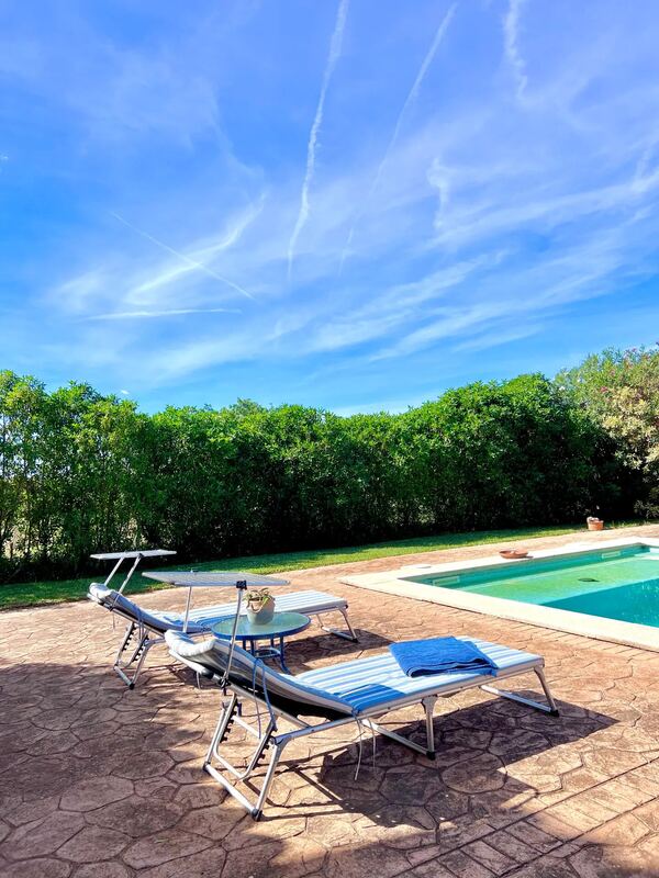 Tumbonas junto a la piscina y seto verde