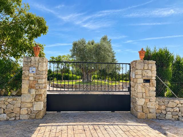 Puerta automática entre pilares de piedra